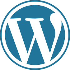 WordPress Tuneup